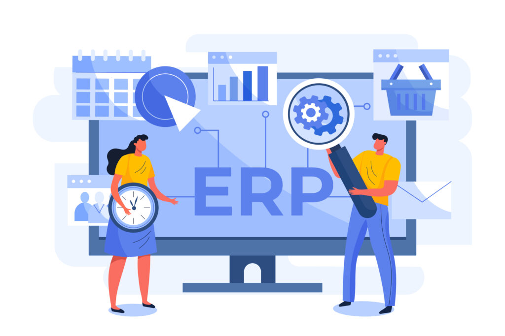 ERP Software Integration